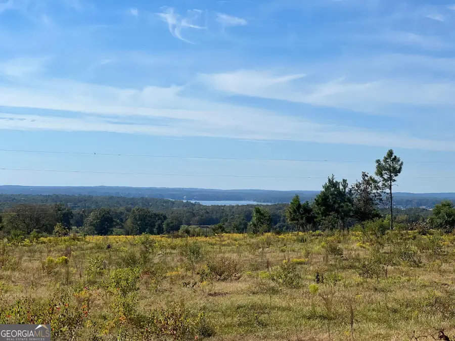 327 Deer Point Road #492 +/- ACRES, Georgetown South, GA 39854 - Image #2