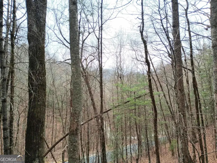 0 LOT #289 Cobblewood Trail, Sky Valley, GA 30537 - Image #2