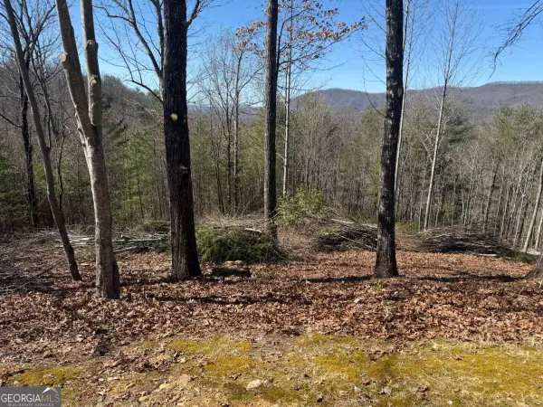 LOT 56 Fires Creek Cove Road, Hayesville, NC 28904