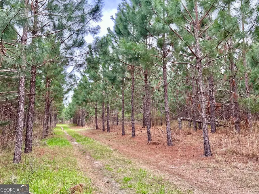 668 Ten Mile Road, Fitzgerald, GA 31750 - Image #3