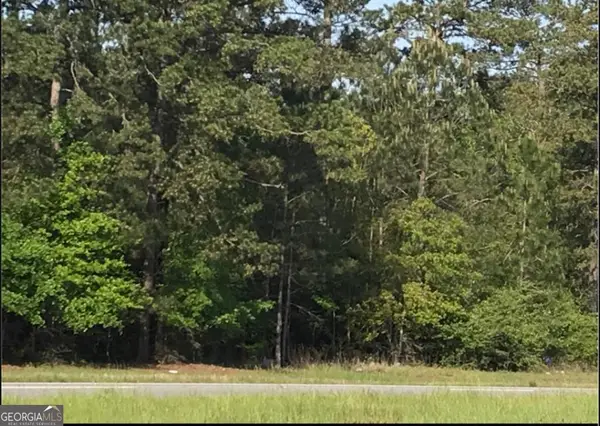 LOT 17 Hwy 82, Leesburg, GA 31763