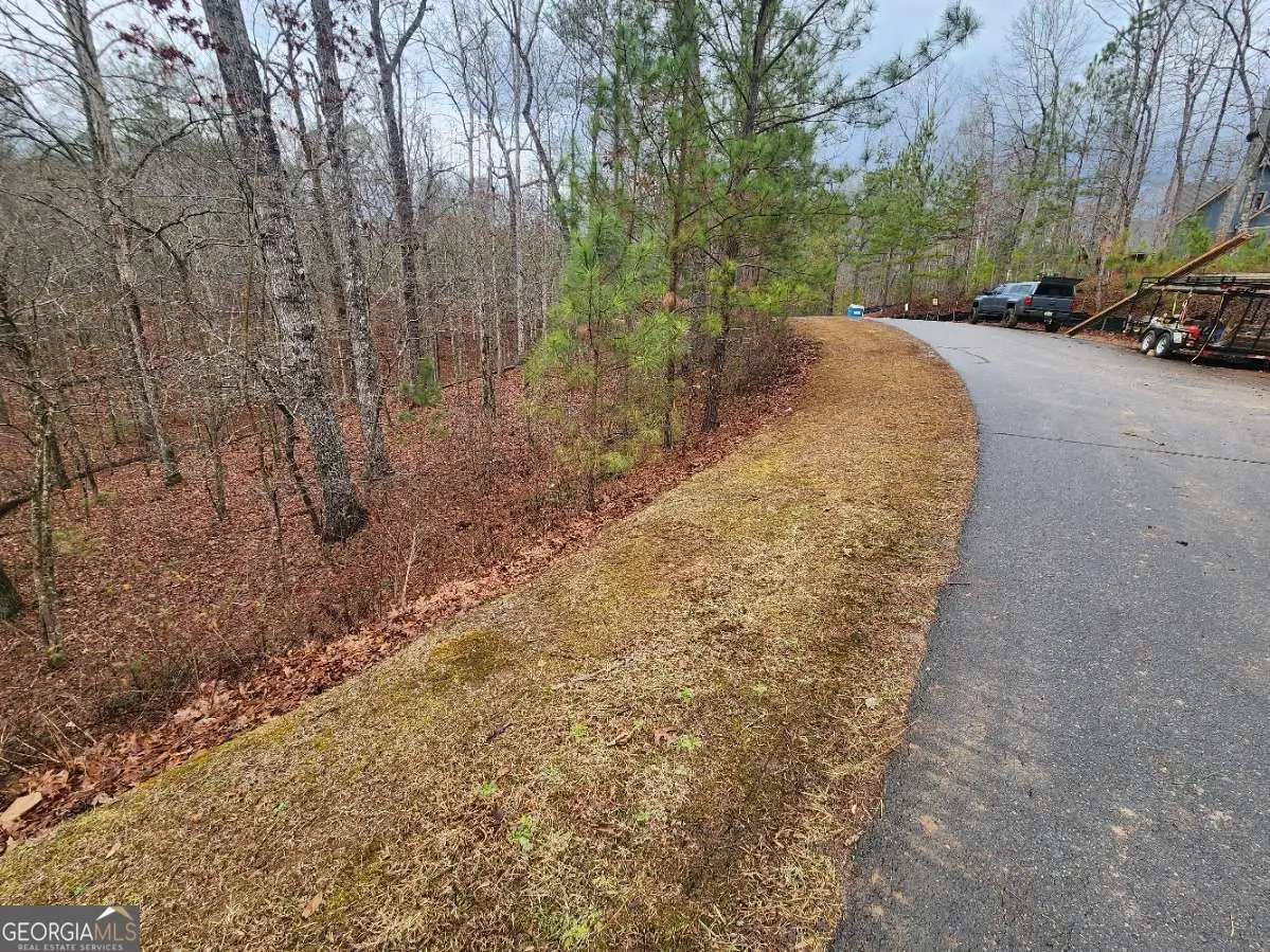 LOT 9 Harris Creek Drive, Ellijay, GA 30540 - #1