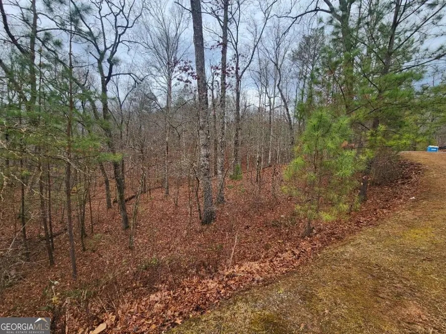 LOT 9 Harris Creek Drive, Ellijay, GA 30540 - #2