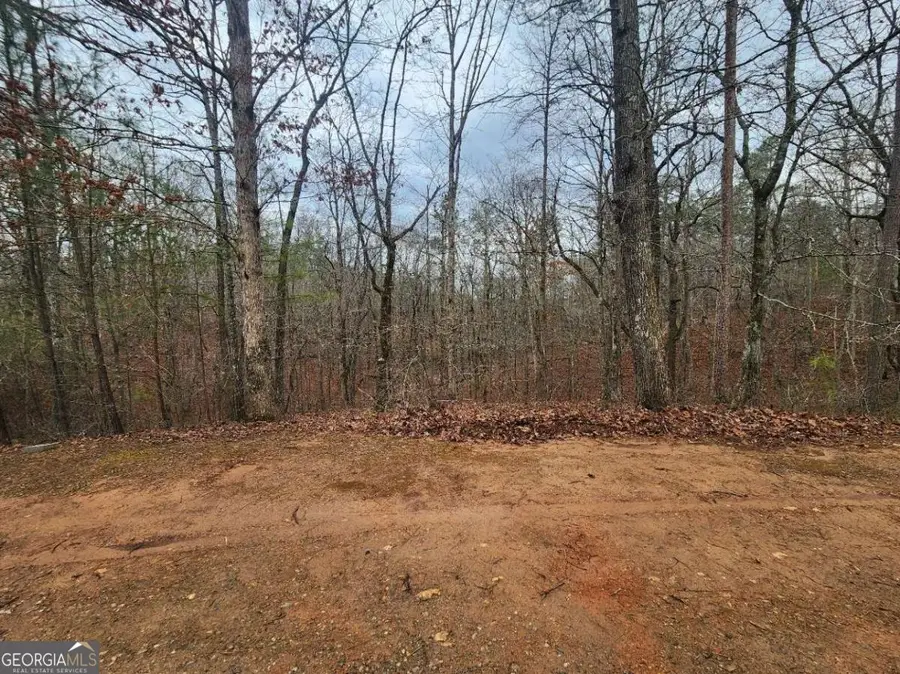 LOT 9 Harris Creek Drive, Ellijay, GA 30540 - #3