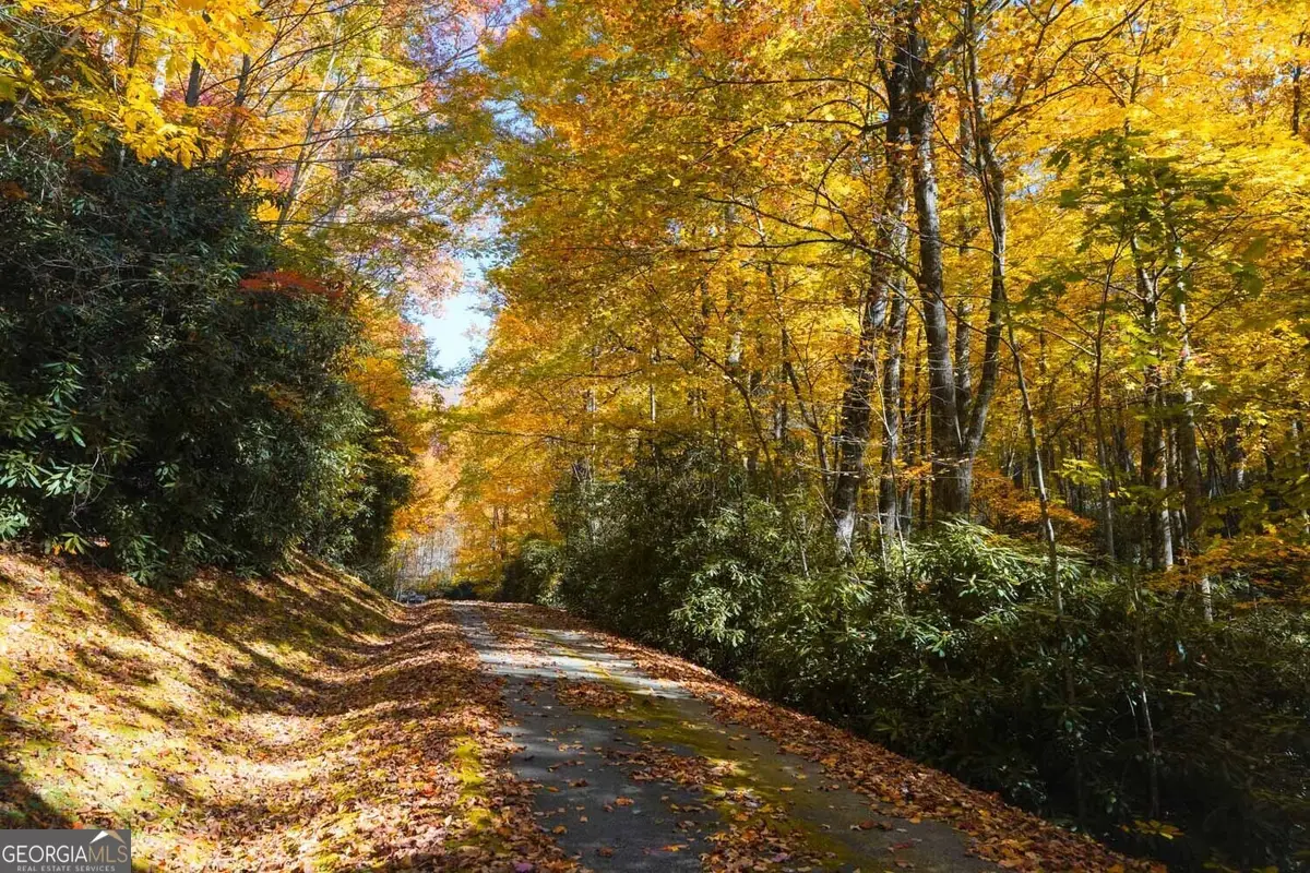 0 Bald Mountain #55,57, Dillard, GA 30537 - Image #1