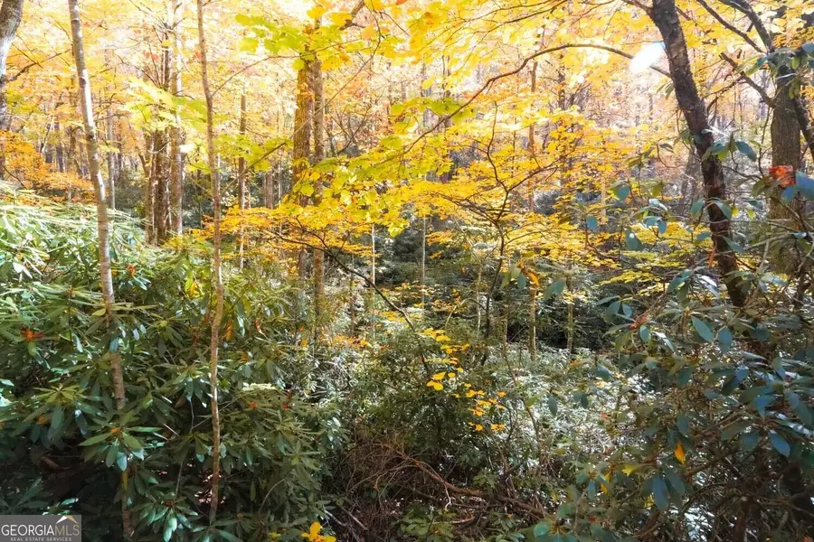 0 Bald Mountain #55,57, Dillard, GA 30537 - Image #2