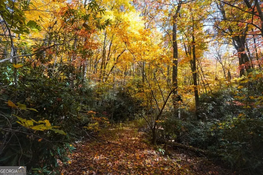 0 Bald Mountain #55,57, Dillard, GA 30537 - Image #3