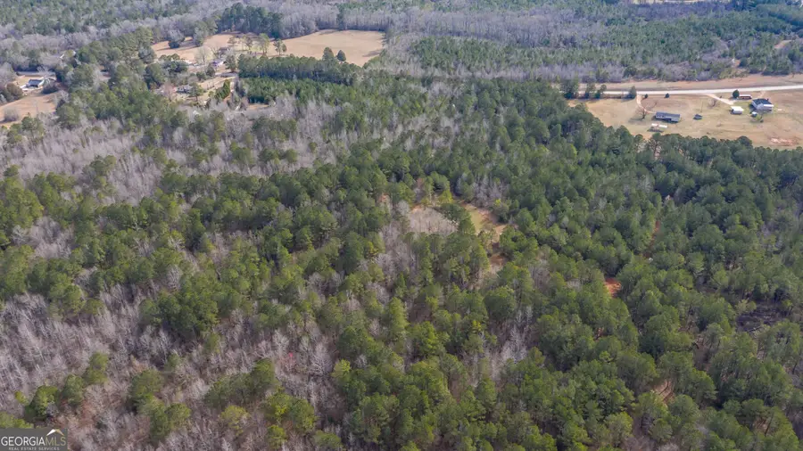 0 Hamilton Road, Pine Mountain, GA 31822 - Image #2