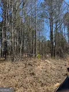 LOTS 11 & 12 Shoals Road, Sparta, GA 31087 - Image #3