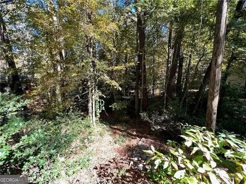 0 Randolph Circle, Kennesaw, GA 30144 - Image #2