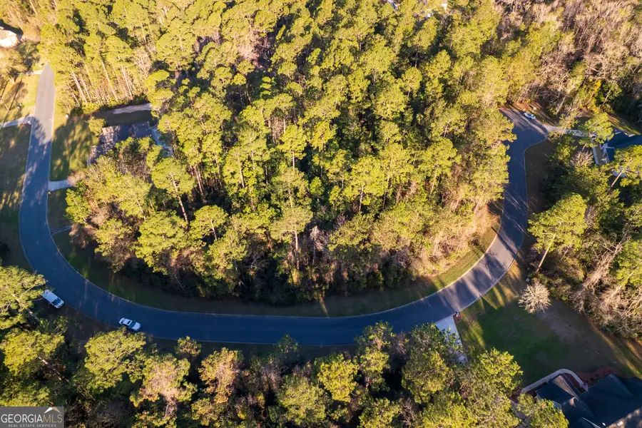 V/L 177 Sunrise Drive, Woodbine, GA 31569 - Image #2