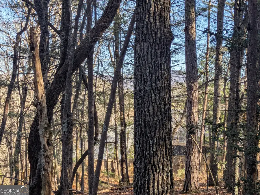 0 Ivylog Drive, Blairsville, GA 30512 - Image #3