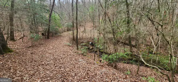 LOT 18 Gray Fox Trail, Blairsville, GA 30512