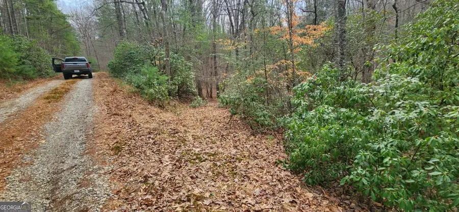 LOT 18 Gray Fox Trail, Blairsville, GA 30512 - Image #3