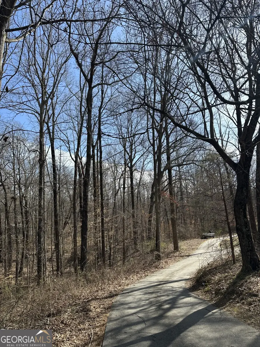 5565 Hog Mountain Road, Flowery Branch, GA 30542 - #2