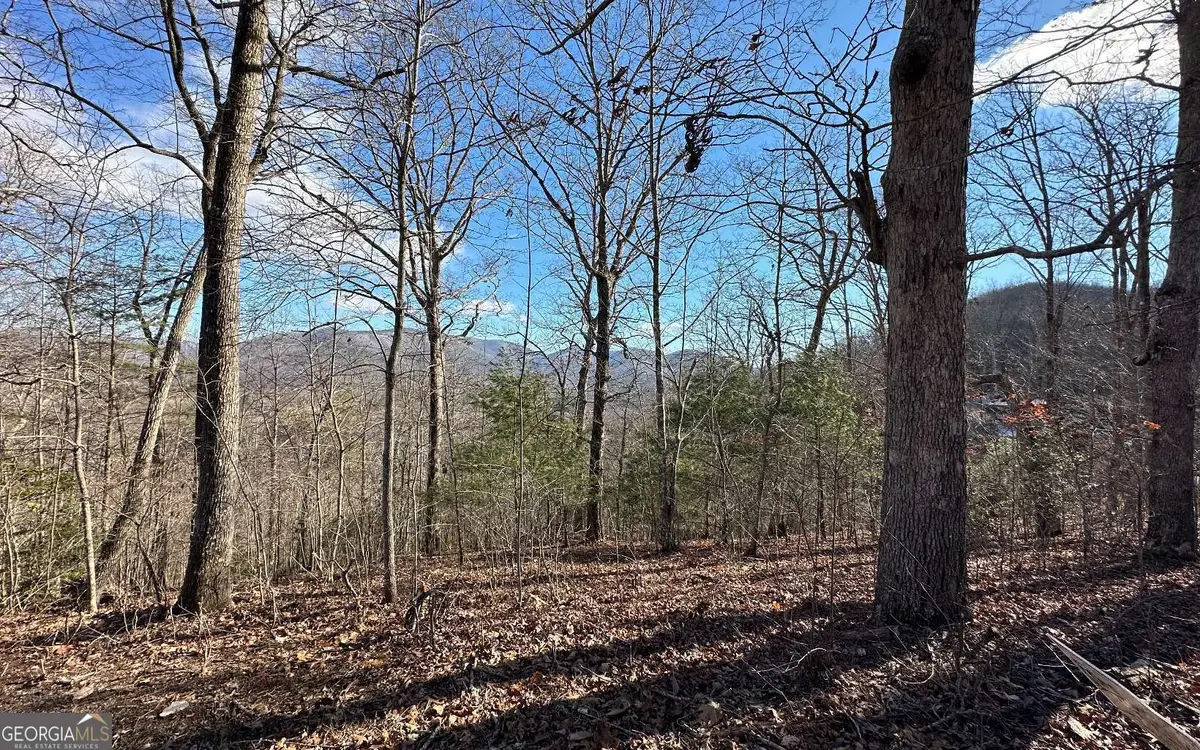 0 Clark Drive, Hiawassee, GA 30546 - Image #1