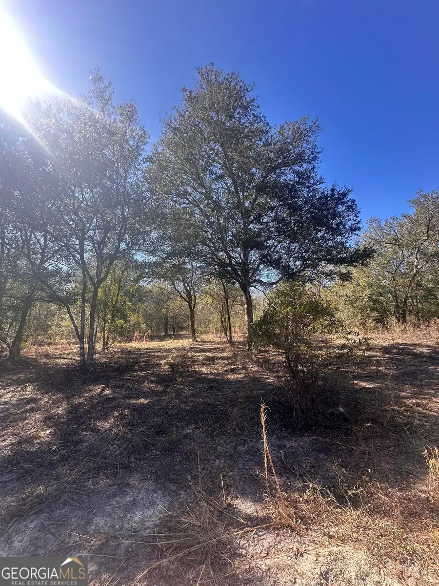 12 Thirteeth Avenue, Saint George, GA 31562 - Image #2