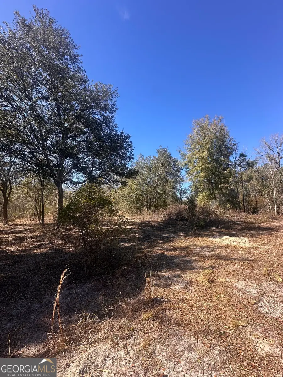 12 Thirteeth Avenue, Saint George, GA 31562 - Image #3