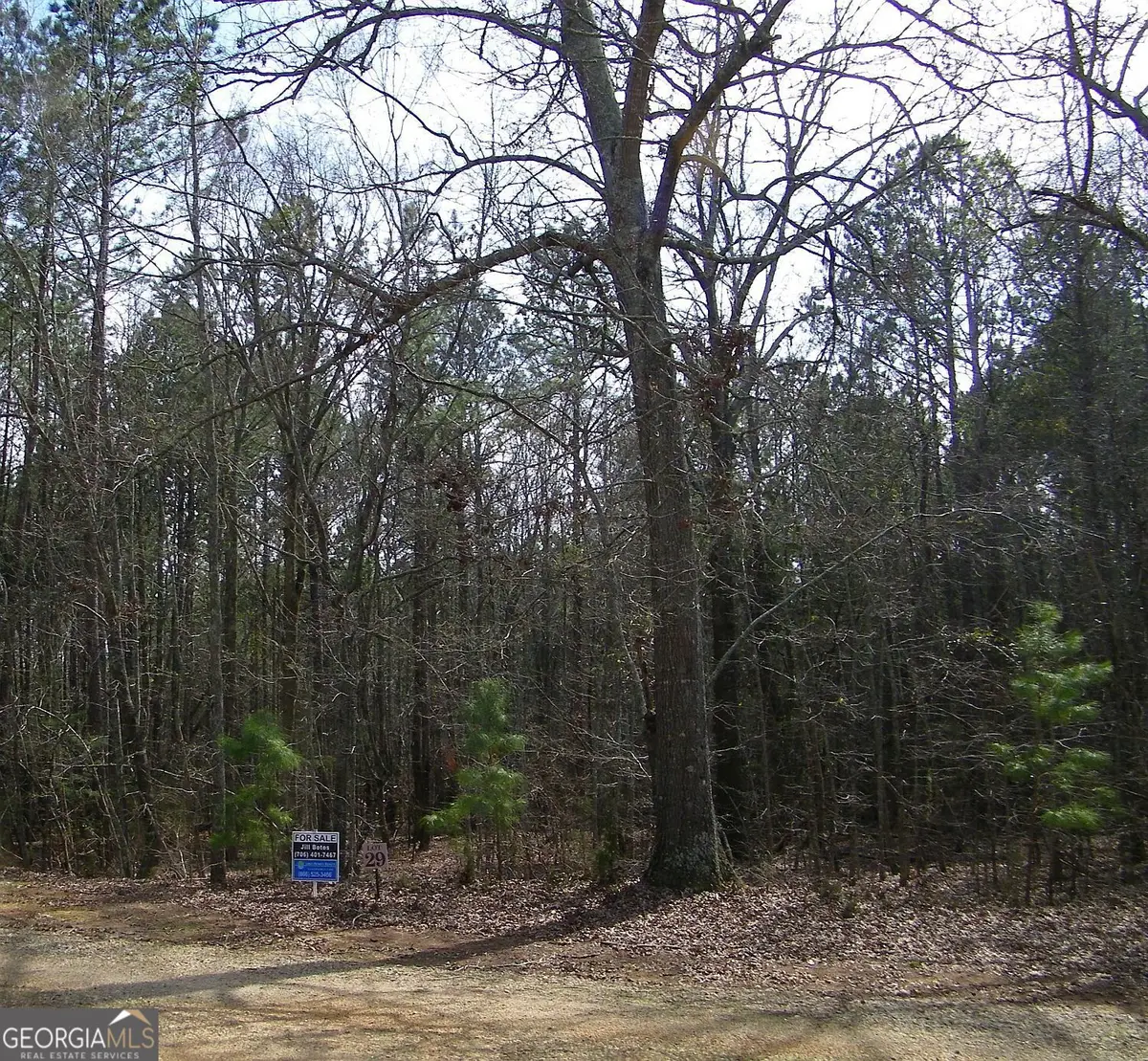 LOT 29 Benjamin Brown Court, Elberton, GA 30635 - Image #1
