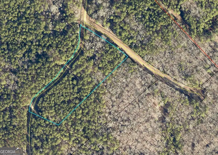 LOT 29 Benjamin Brown Court, Elberton, GA 30635 - Image #3