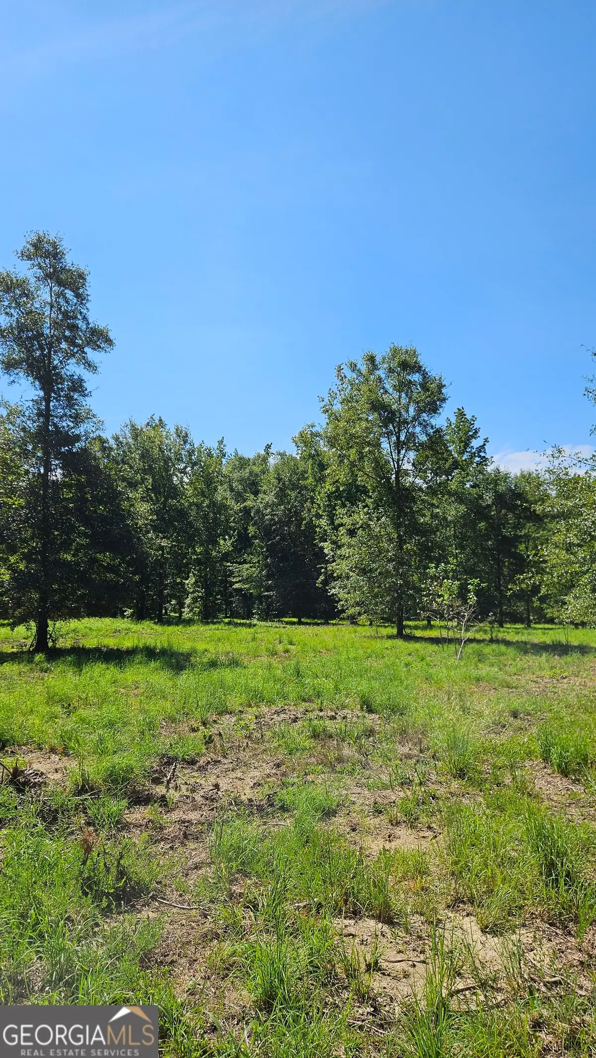 LOT 29 Bayside Drive, Greensboro, GA 30642 - Image #1