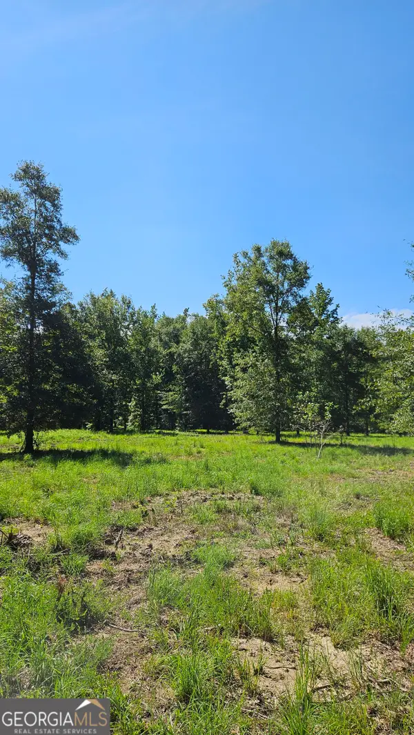 LOT 29 Bayside Drive, Greensboro, GA 30642