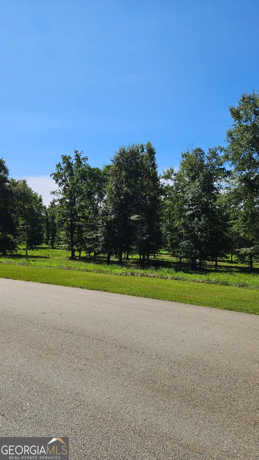 LOT 29 Bayside Drive, Greensboro, GA 30642 - Image #3