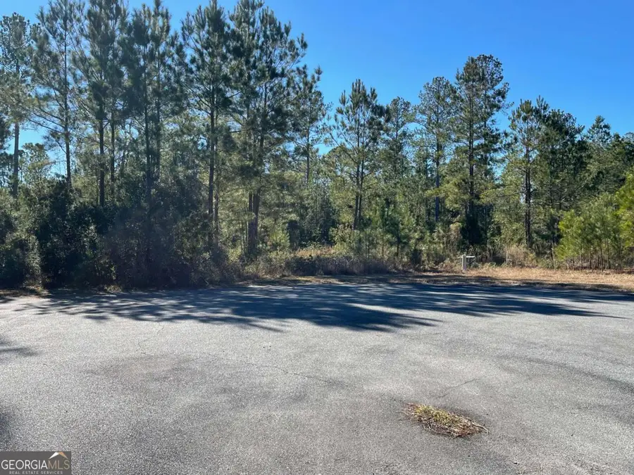 0 Landing Trail, Waynesville, GA 31566 - Image #3