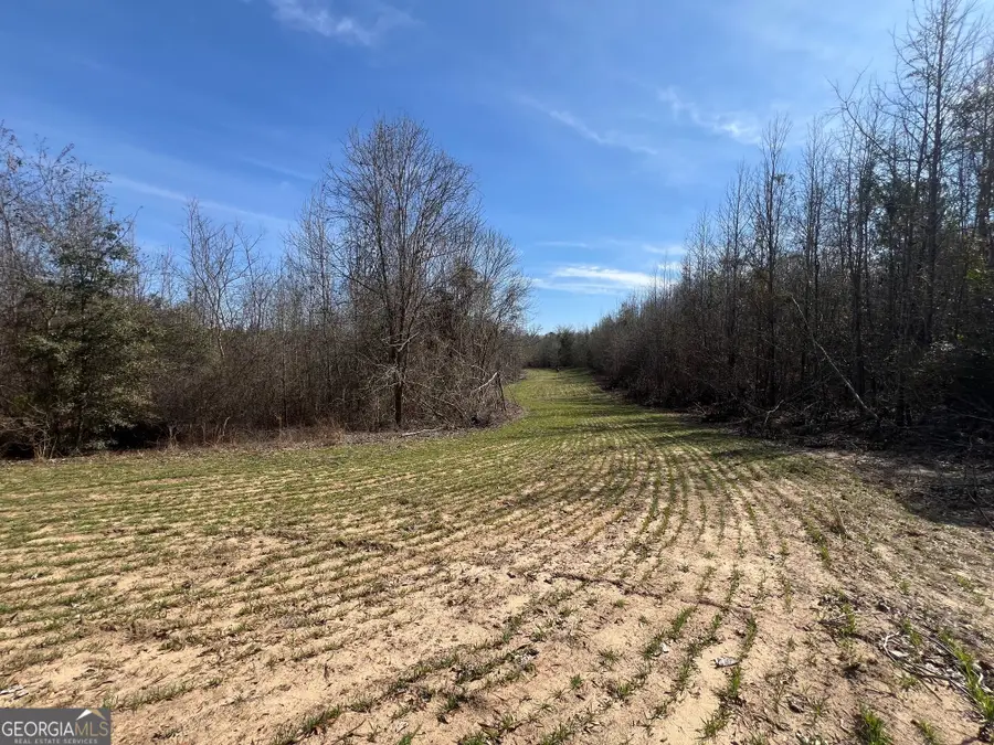 660 Brooks Road, Sandersville, GA 31082 - Image #3