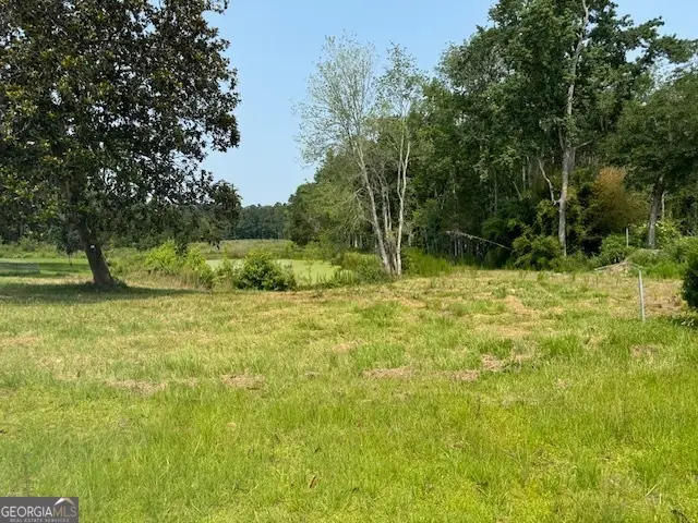 0 Us Hwy 17 Highway, Townsend, GA 31331 - Image #2