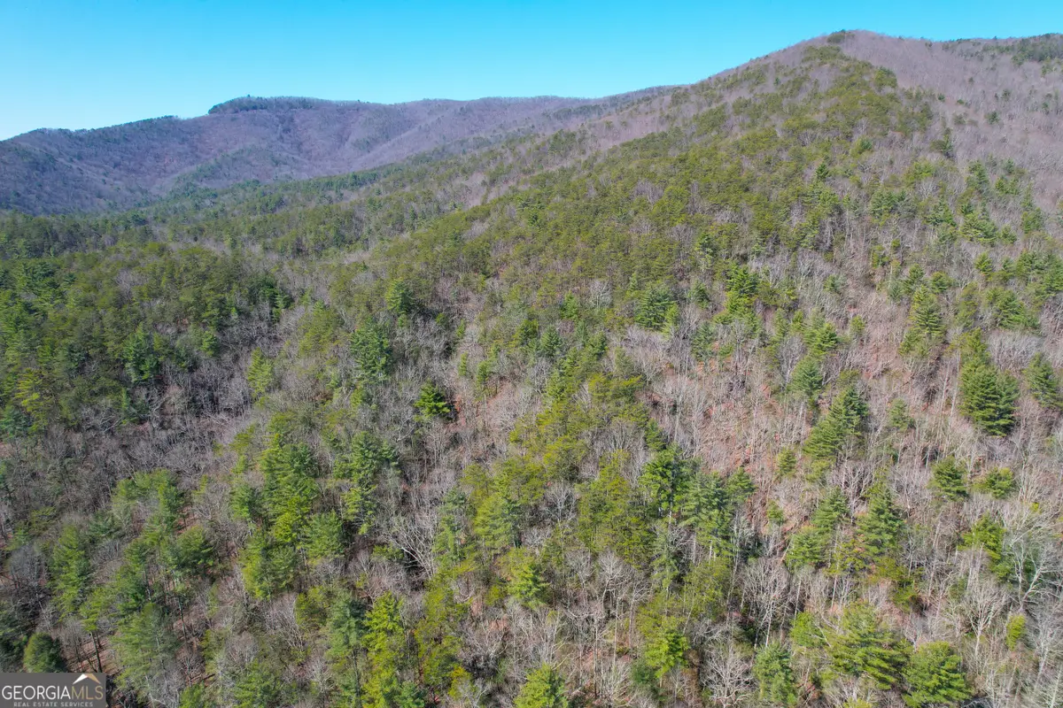 0 Peeples Lake Road, Chatsworth, GA 30705 - Image #1