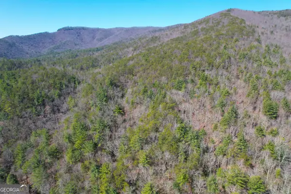 0 Peeples Lake Road, Chatsworth, GA 30705