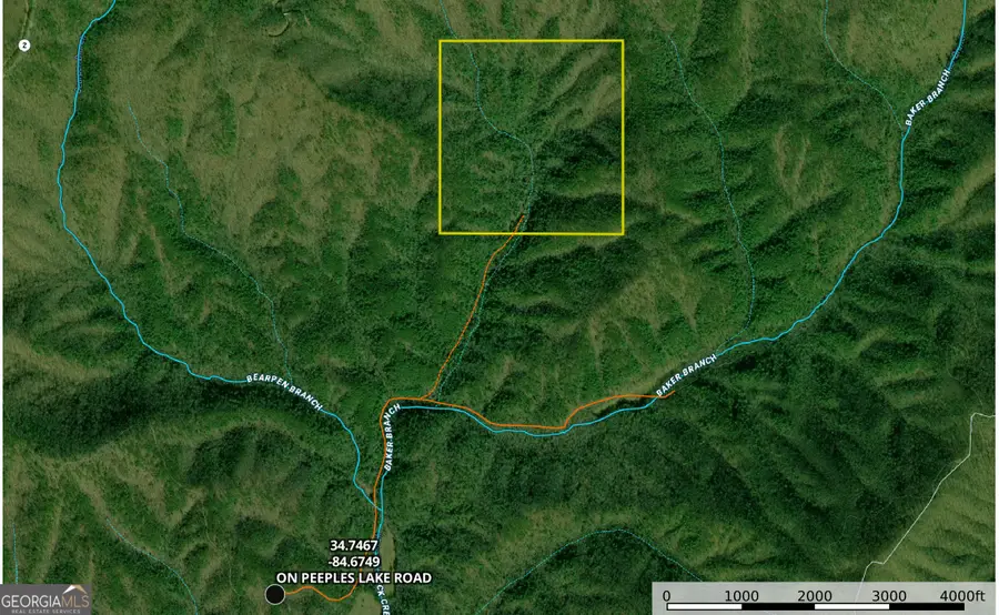 0 Peeples Lake Road, Chatsworth, GA 30705 - Image #2