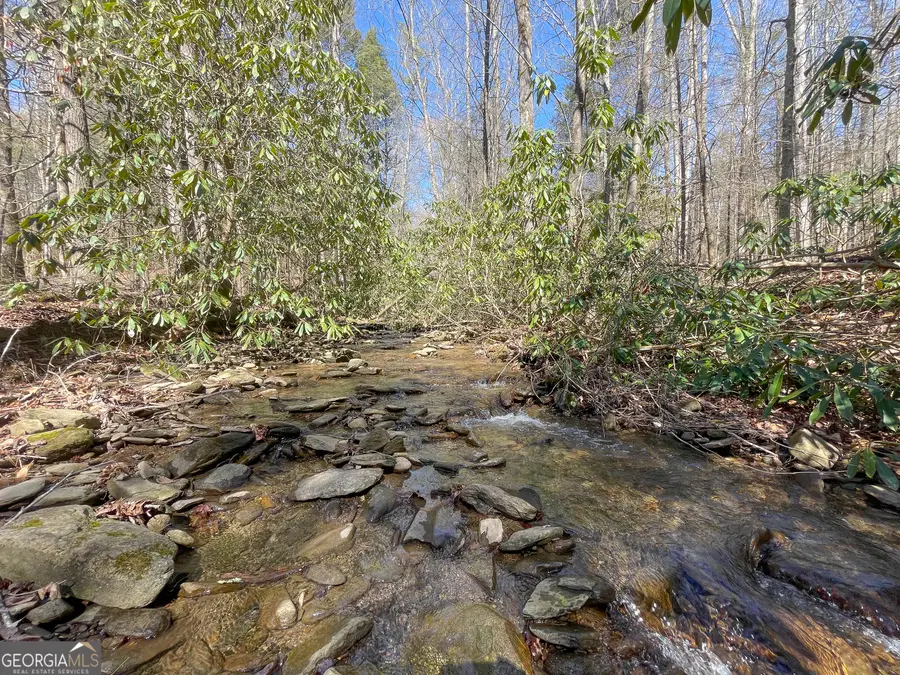 0 Peeples Lake Road, Chatsworth, GA 30705 - Image #3