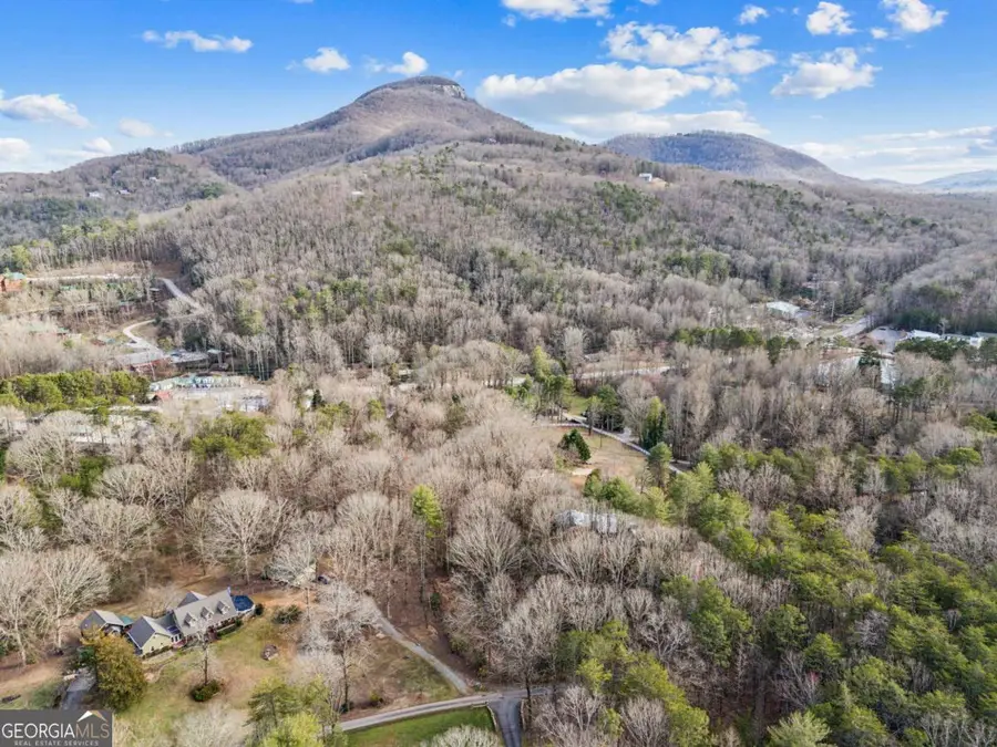 142 Smokerise Drive, Sautee Nacoochee, GA 30571 - Image #3