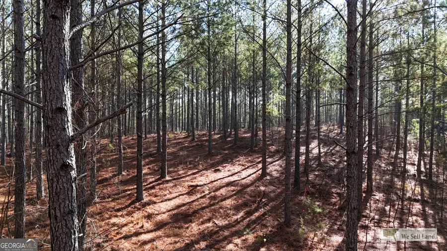 0 Tract 14, Lyerly, GA 30730 - Image #2
