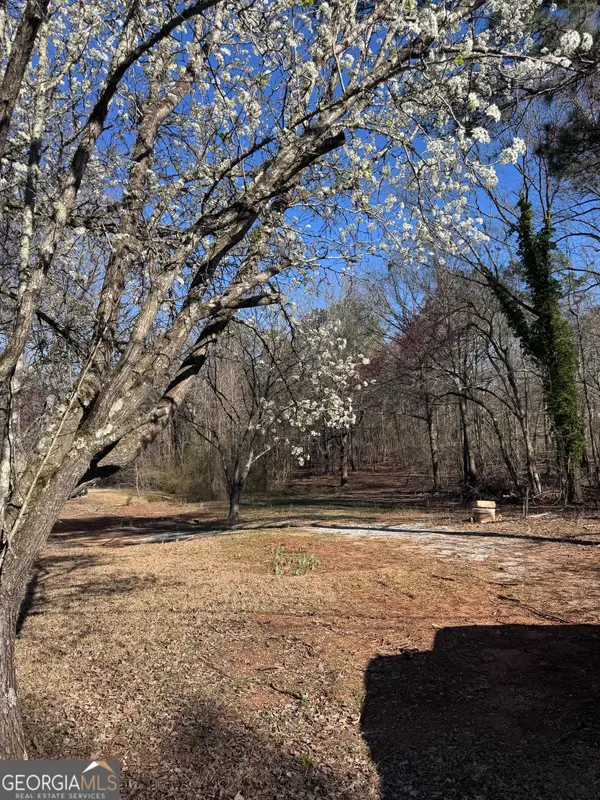 884 Dolly Nixon Road, Senoia, GA 30276