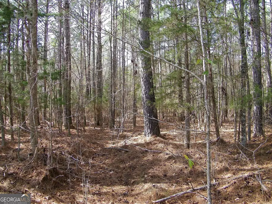 LOT 10 Blackberry Bend, Elberton, GA 30635 - Image #3
