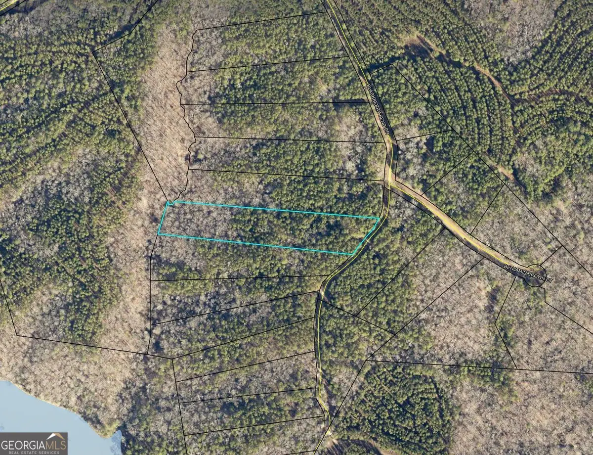 LOT 11 Blackberry Bend, Elberton, GA 30635 - Image #1