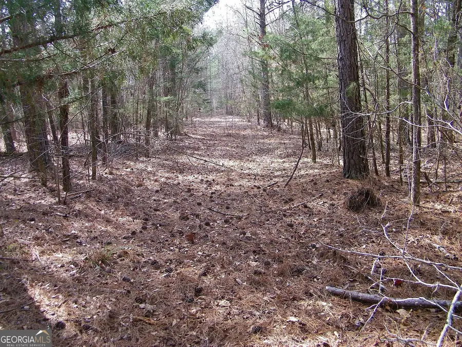 LOT 11 Blackberry Bend, Elberton, GA 30635 - Image #3