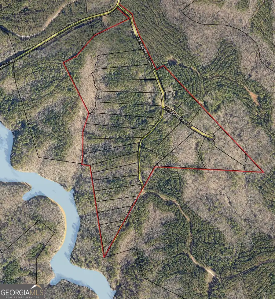 LOT 15 Blackberry Bend, Elberton, GA 30635 - Image #2