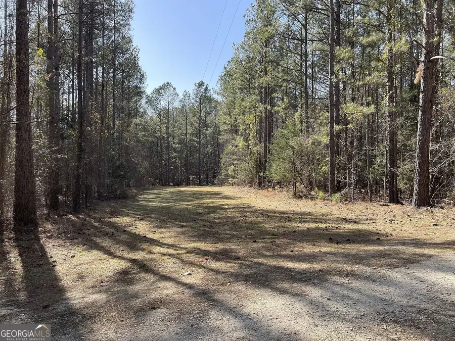 LOT 15 Blackberry Bend, Elberton, GA 30635 - Image #3