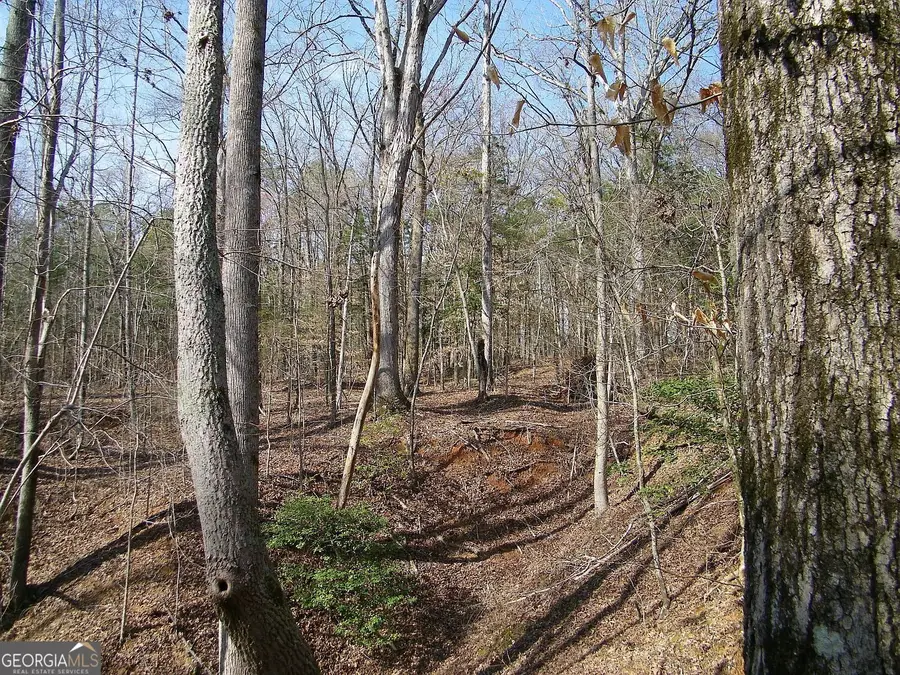 LOT 26 Benjamin Brown Court, Elberton, GA 30635 - Image #3