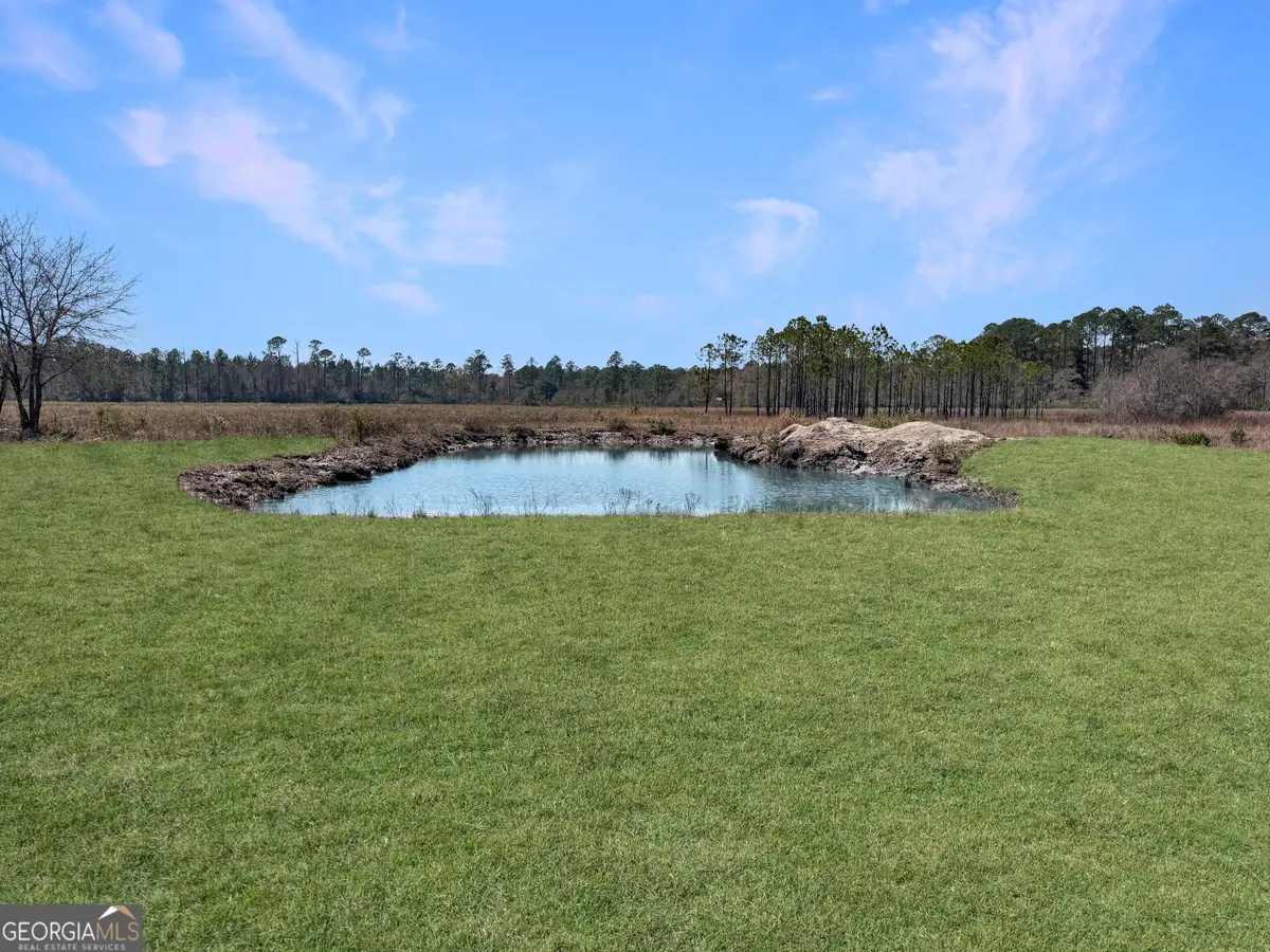 0 Humpback Road, Hortense, GA 31543 - Image #1