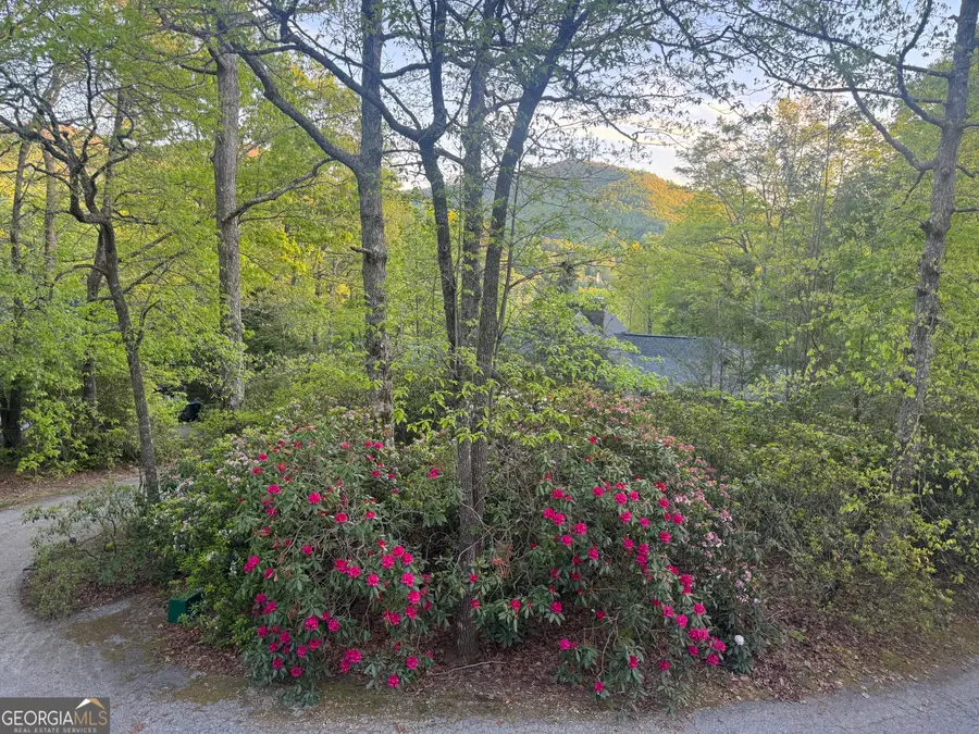 63 Mashie Lane, Sky Valley, GA 30537 - Image #3