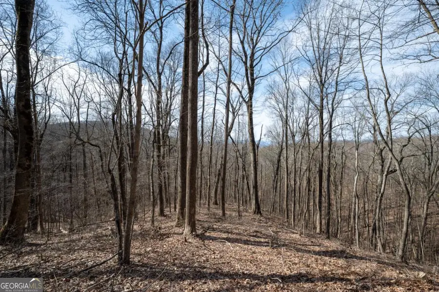 LOT 7R Mountain Falls Loop, Ellijay, GA 30540 - Image #3
