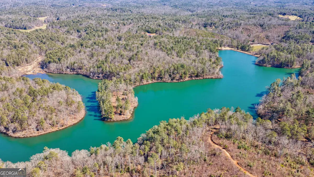 1338 Pleasant Hill Road, Ellijay, GA 30540 - Image #1