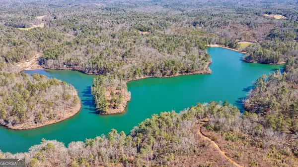 1338 Pleasant Hill Road, Ellijay, GA 30540