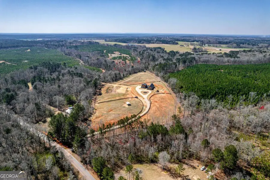 1766 Crawfordville Road #1766 CRAWFORDVILLE ROAD, White Plains, GA 30678 - Image #2