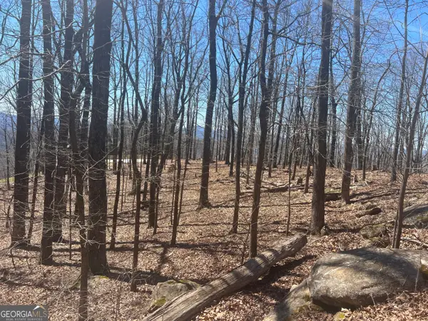 58 Mountainside Drive, Cleveland, GA 30528